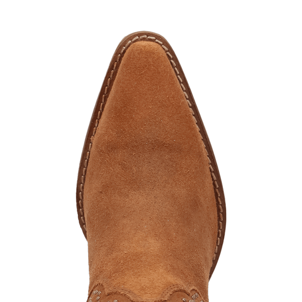 STAR POWER SUEDE LEATHER BOOTIE
